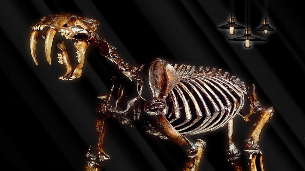 Генетический материал.