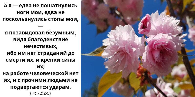 Мысли о том, что злые благоденствуют на земле, посещали не только наших современников...