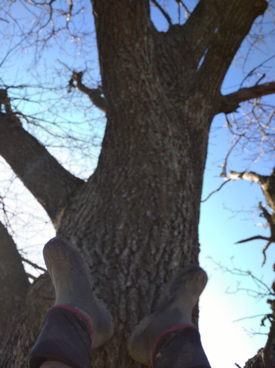 Дорога в небо