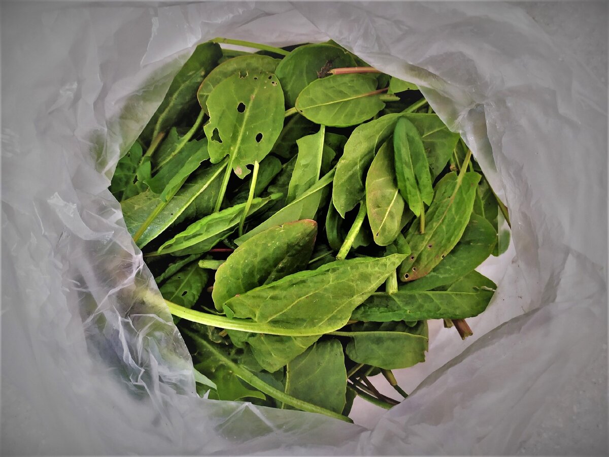 Витамины на зиму