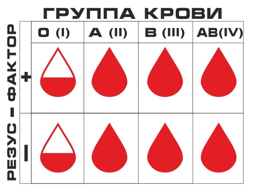 Фото из интернет-ресурса.