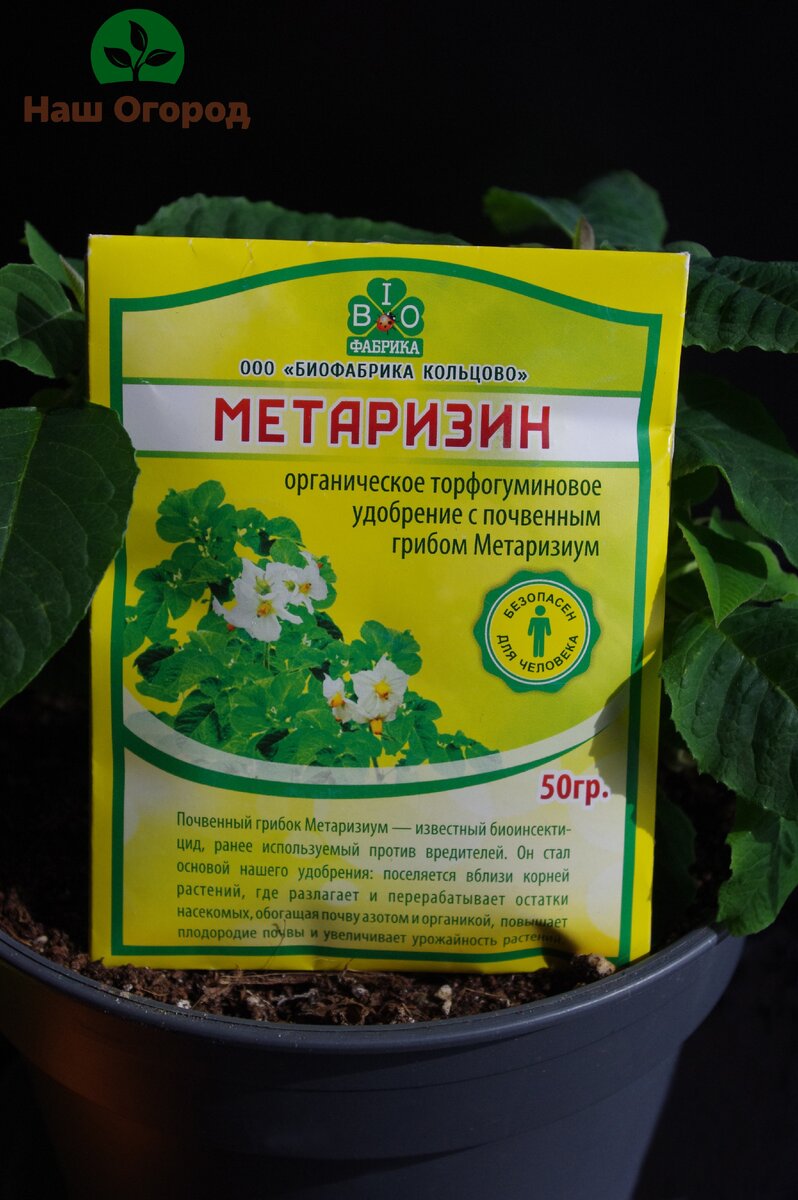 Один из препаратов с метаризиумом.