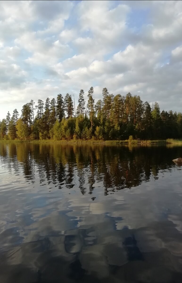 Ладога, сентябрь 2019. Фото автора.