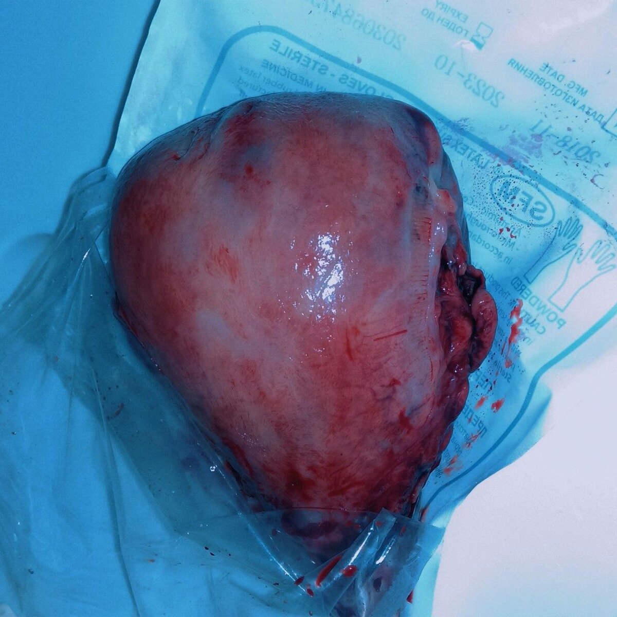 Фото взято из интернета