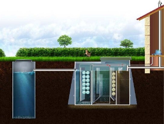 Источник изображения: Яндекс. Картинки