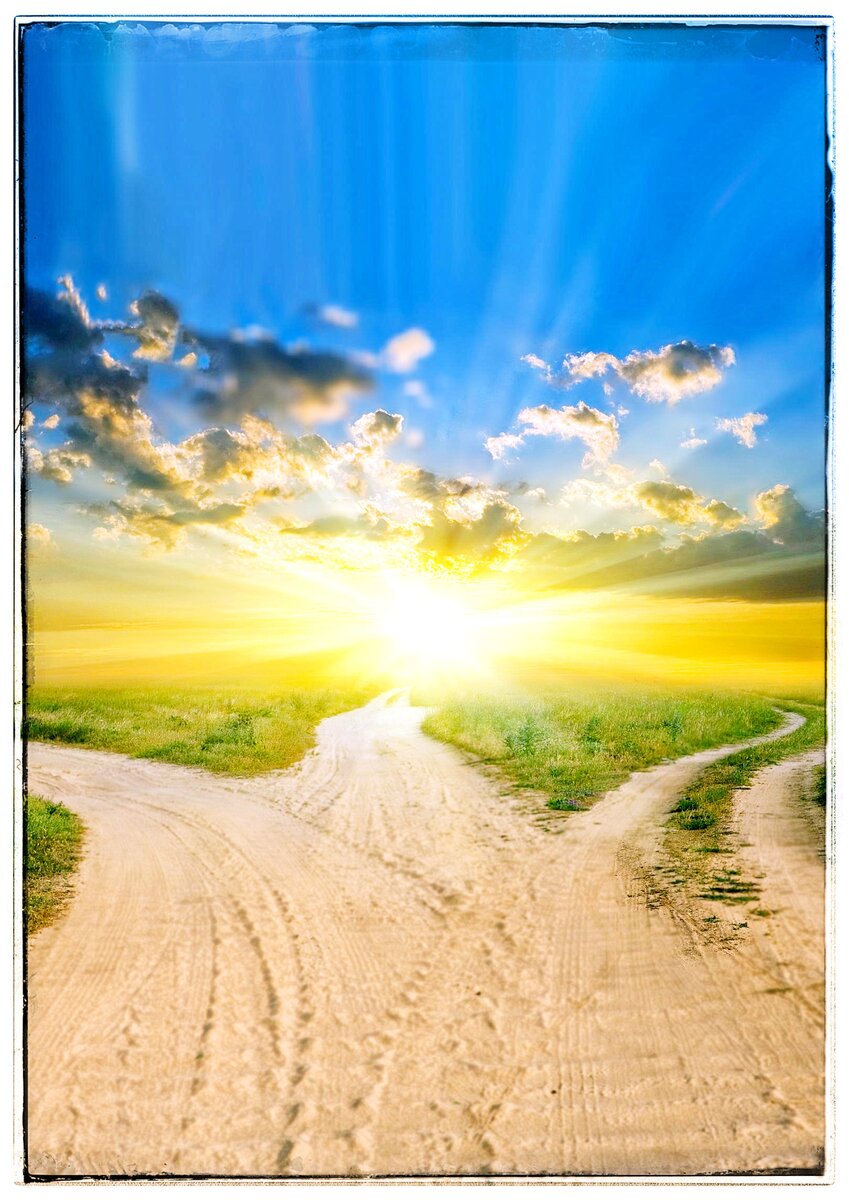 Каждый сам выбирает свою дорогу в этой жизни, но твой выбор, давно предрешен судьбой