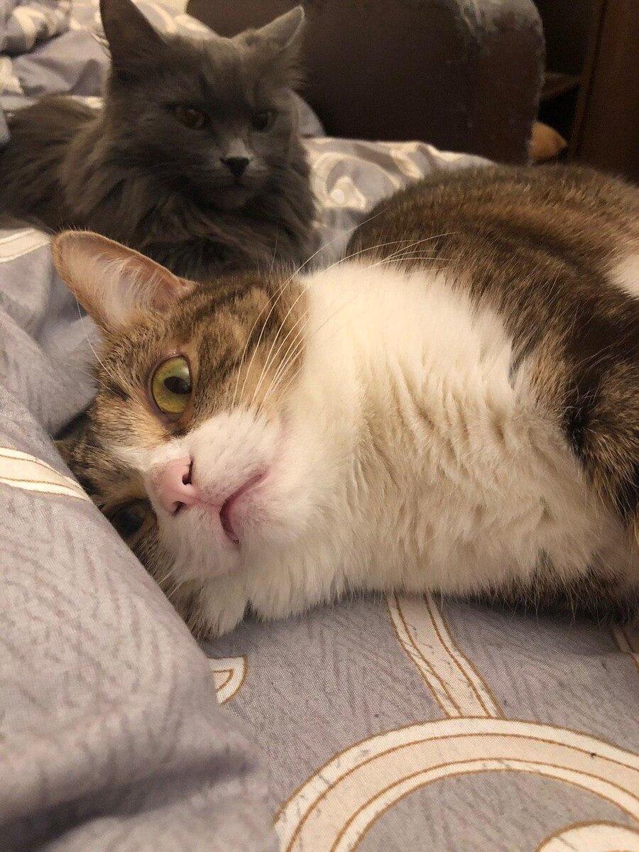 Но ей ничего не оставалось кроме как смириться :)