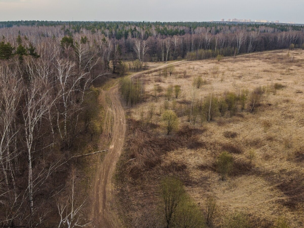 салтыковский лесопарк москва