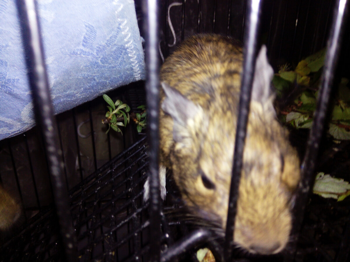 Крошик очень любопытное создание!