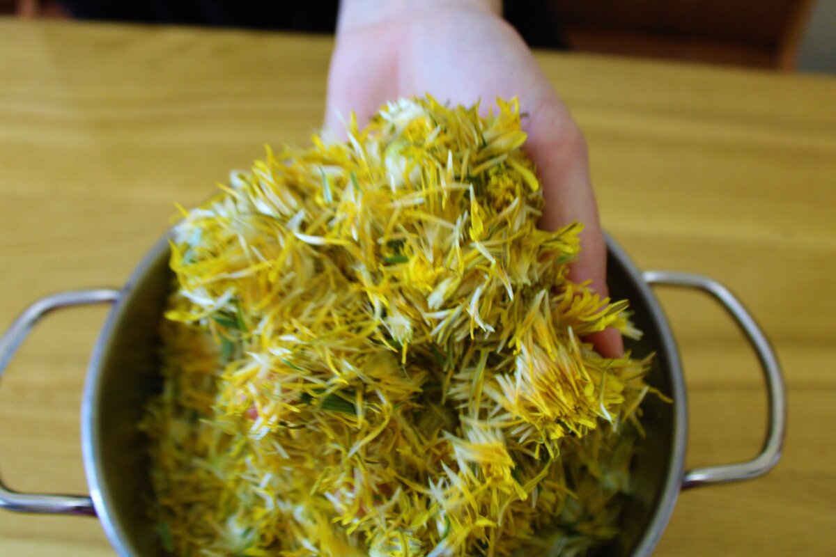 Ароматный сироп для полезного чая на зиму готовлю из одуванчиков применяя одну хитрость, ночь держу цветы в пакете