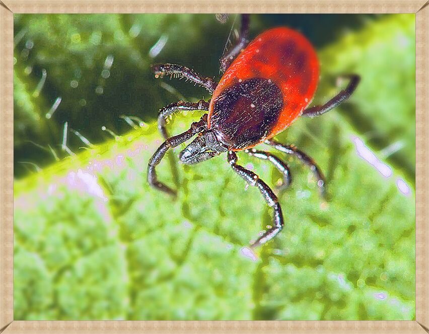 Фото взято из интернета ekburg.tv