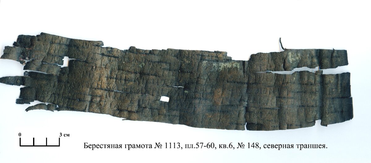 Берестяная грамота №1113