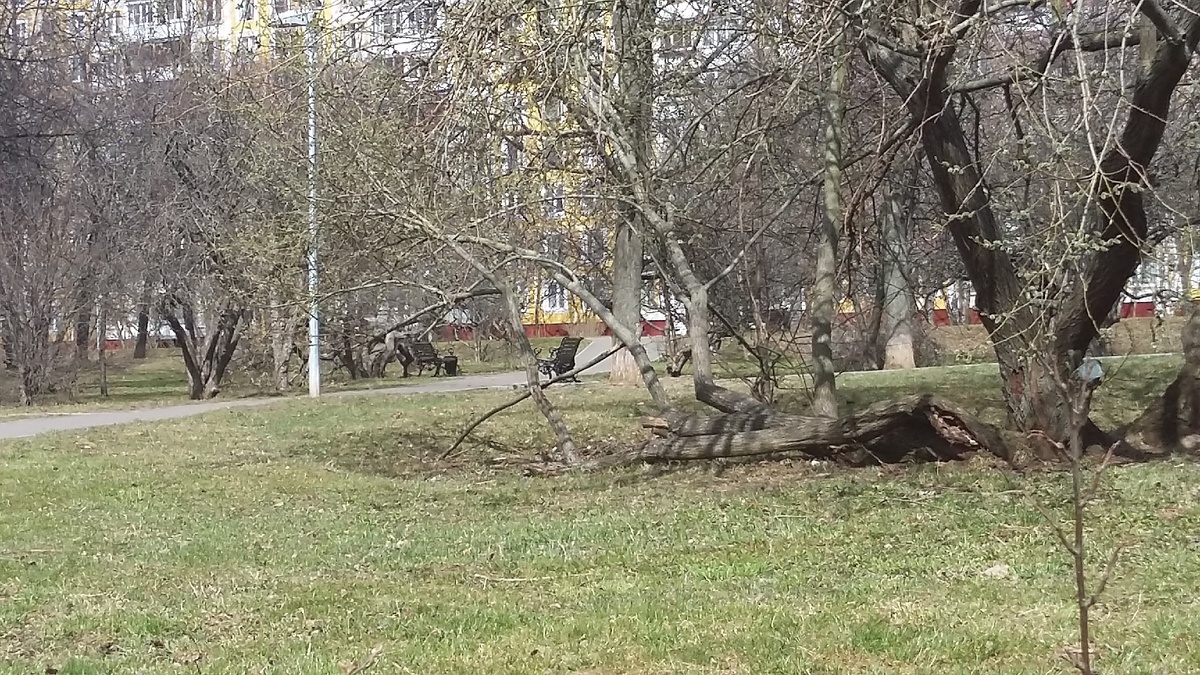 Фото автора.