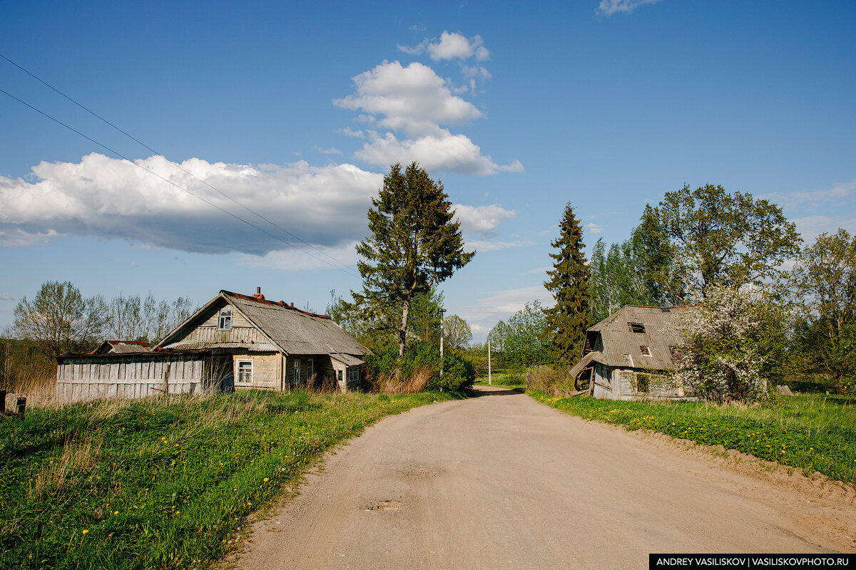 Красный поселок псковская область