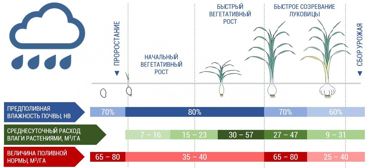 Карта влажности риддер