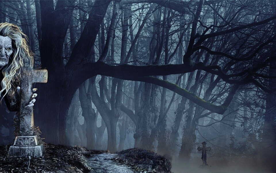 Изображение от Pixabay 