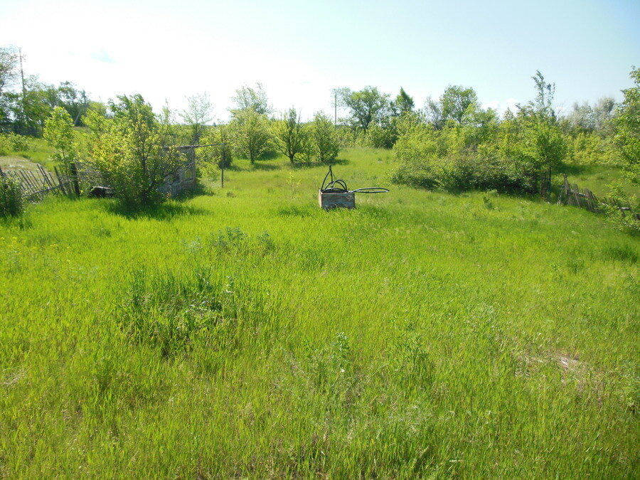 Яндекс картинки)