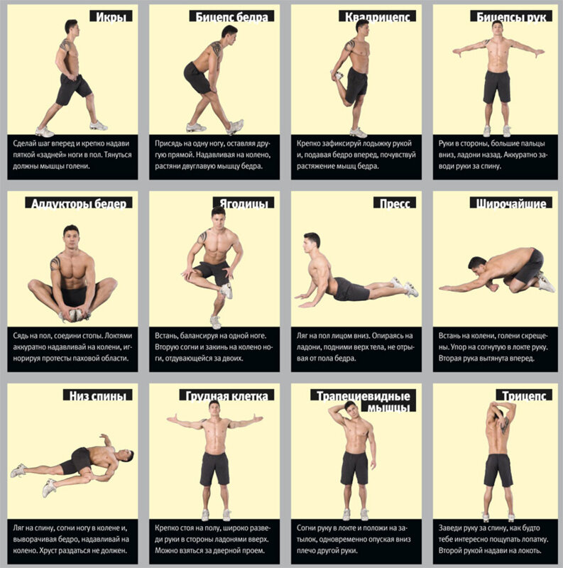 Упражнения для заминки 