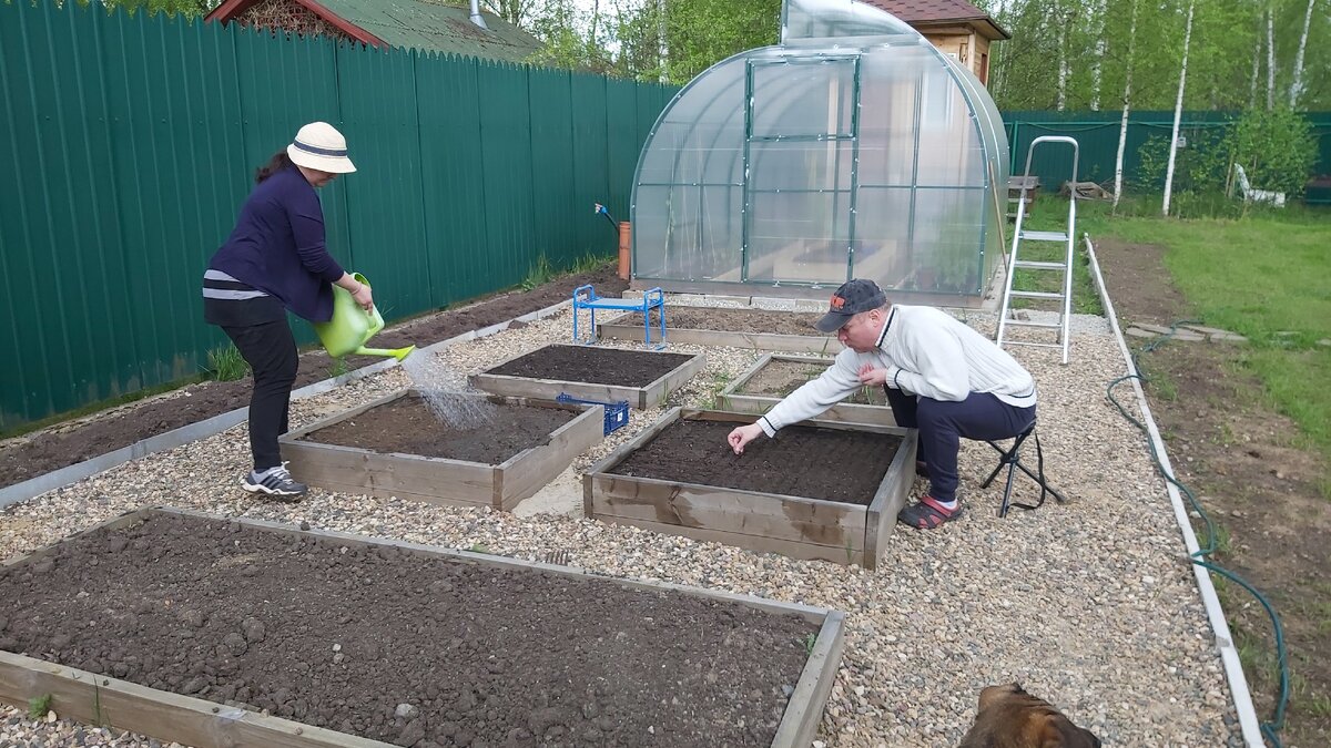 Укроп, петрушка и что-то ещё...