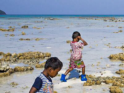 На сбор моллюсков берут детей