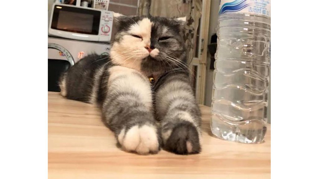 -2