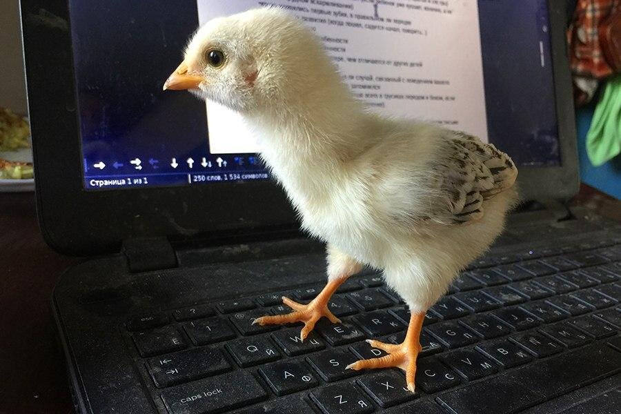 Фото из личного архива героев