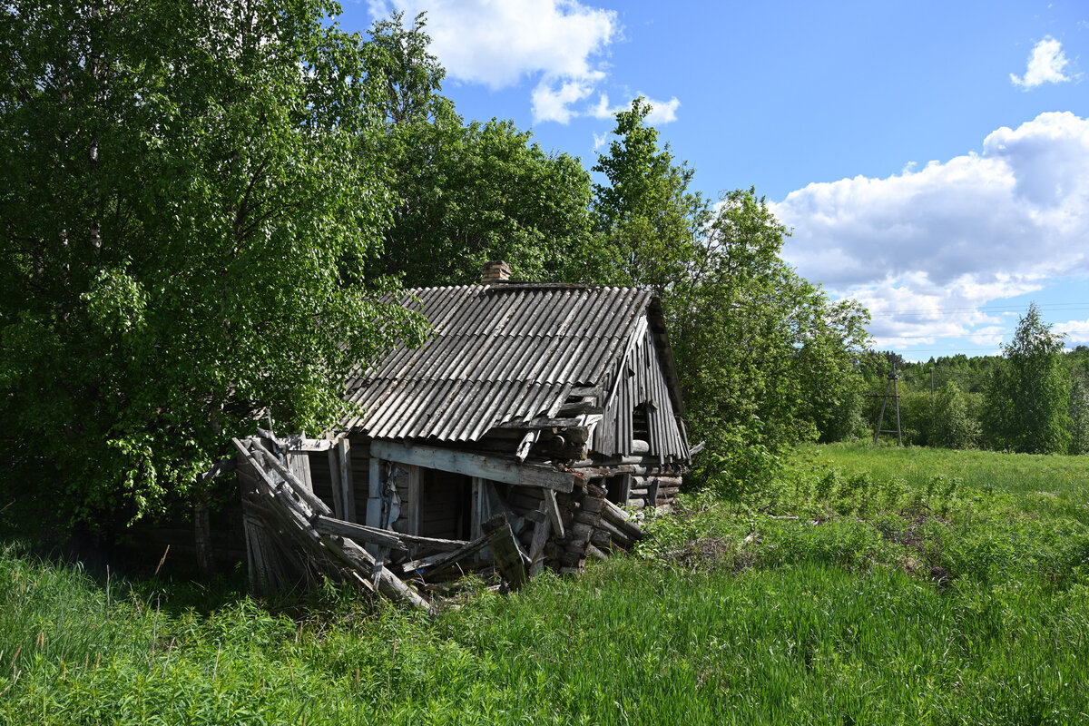 Деревня треть