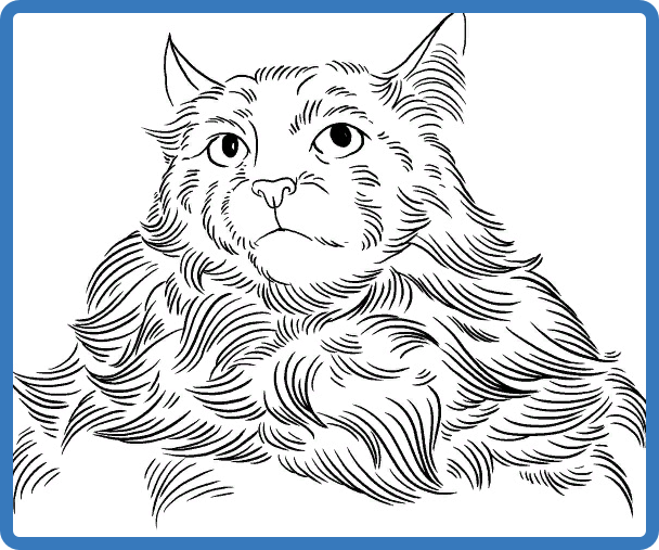 Иллюстрация из книги "О людях, котах и маленьких собаках". Художник Екатерина Белявская