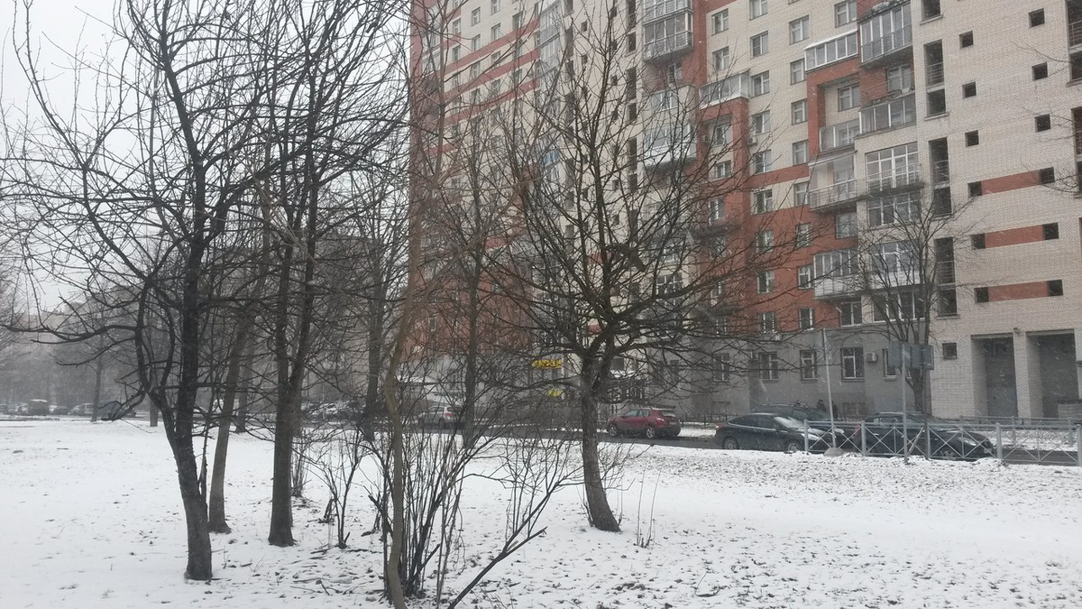 Фото из личного архива.