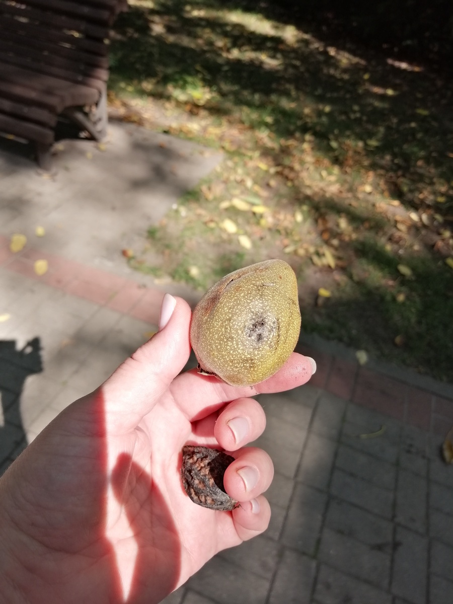 Все гениальное просто