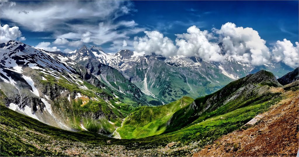 Из архива Яндекс