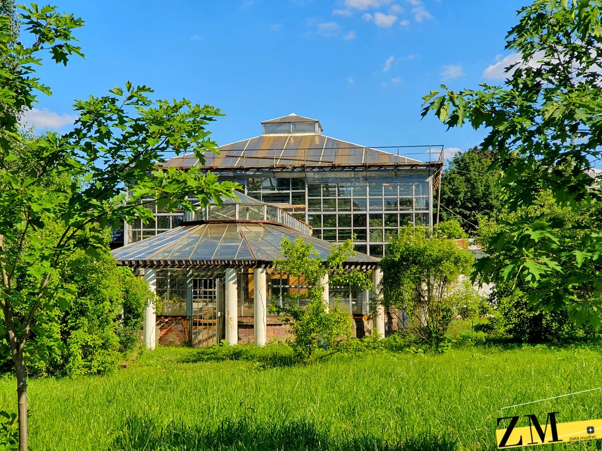 москва ботанический сад вднх