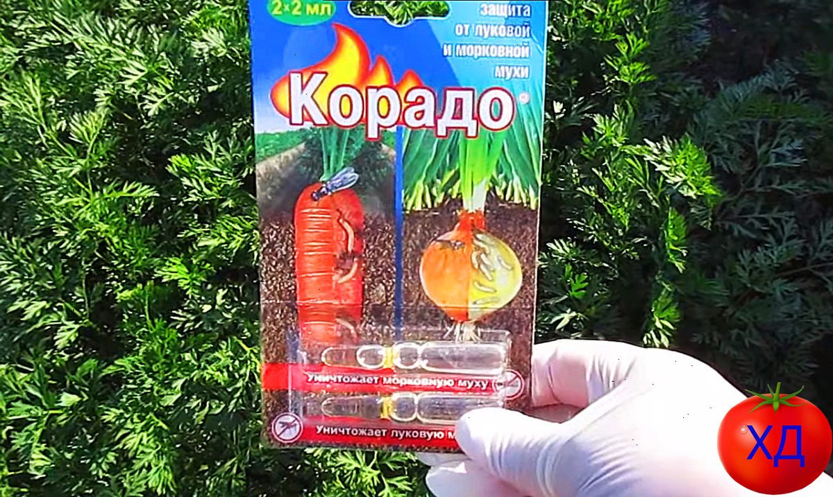 Корадо