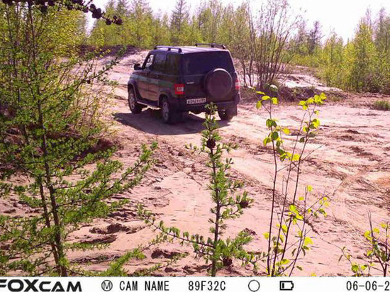  
Фото: правительство ЯНАО