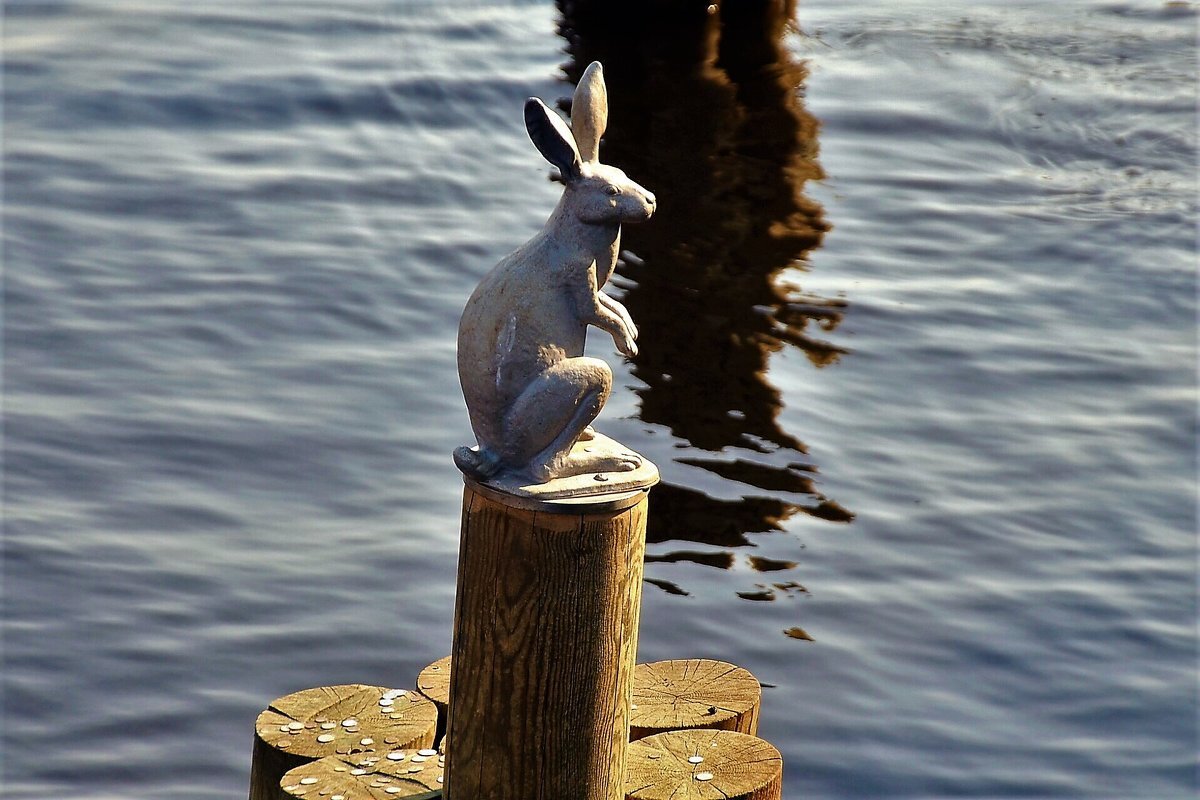 Заяц Арсений