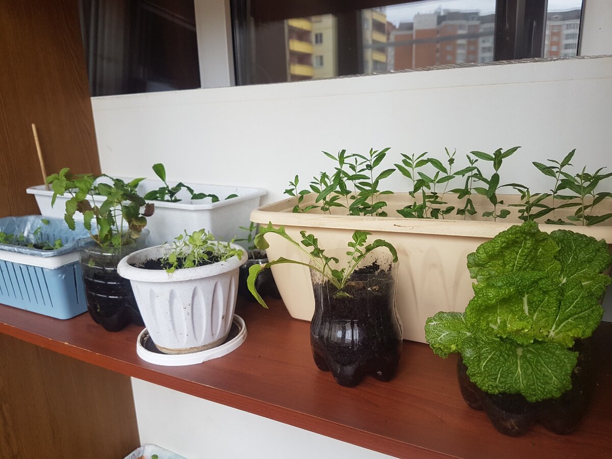 Фото автора: Бандитский район Санта-Барбары