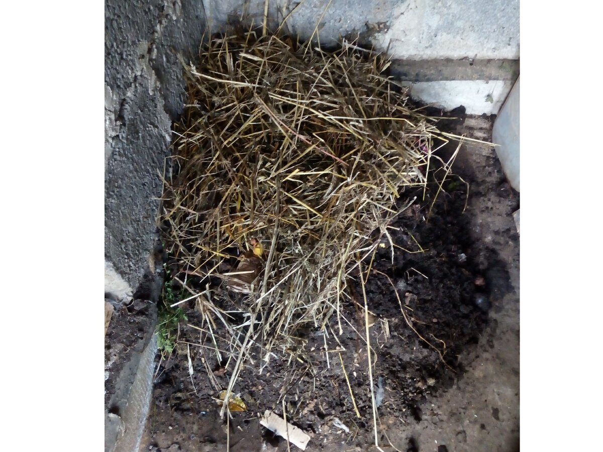 Заправленная вермигрядка