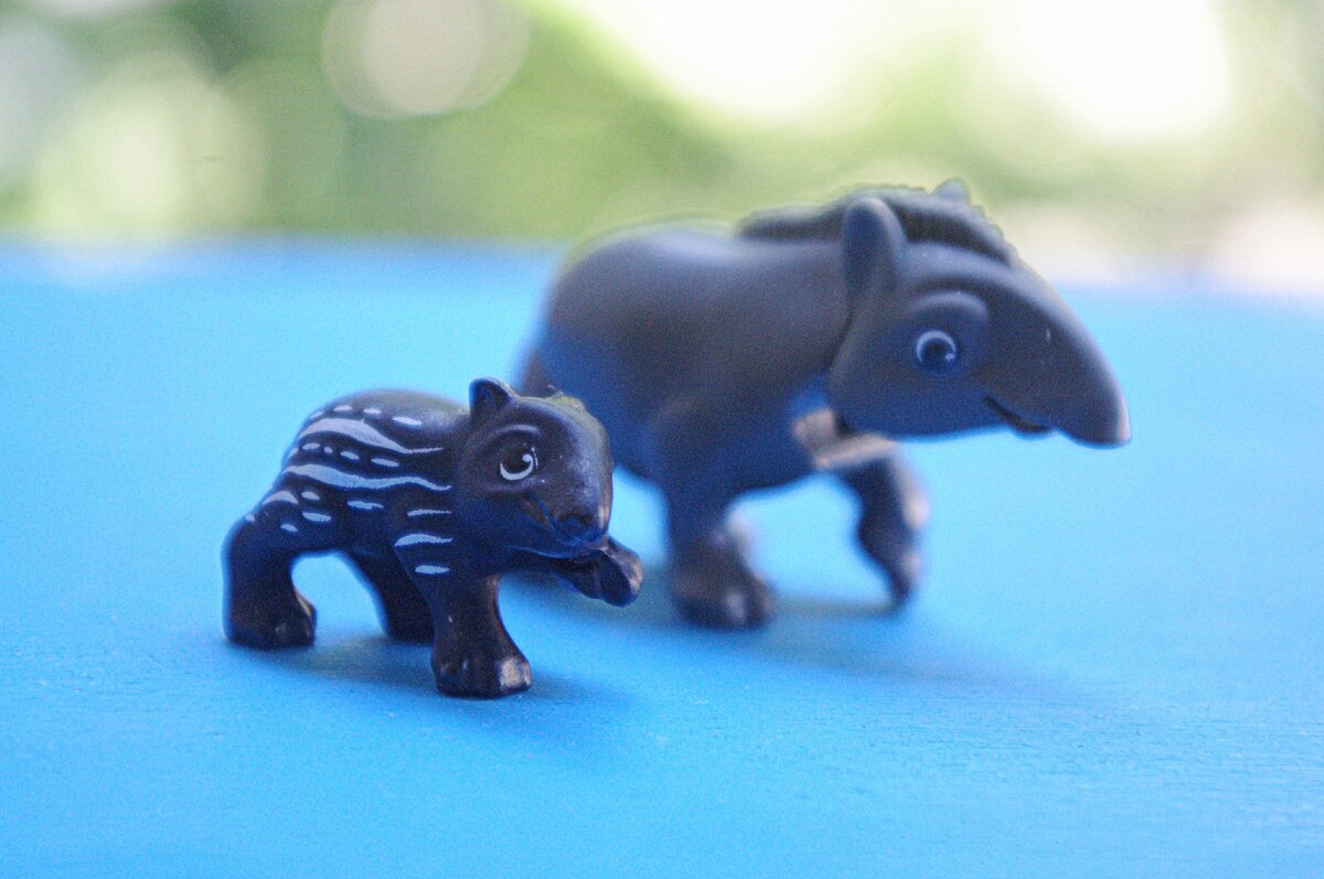 Natoons. Натунс 2011. Playmobil тапир. Тапир Киндер сюрприз. Киндер Натунс 2020 животные игрушки