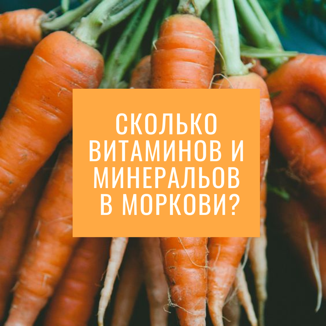 Сколько витаминов содержится в моркови? 14 полезных свойств. Польза и вред, как её употреблять?