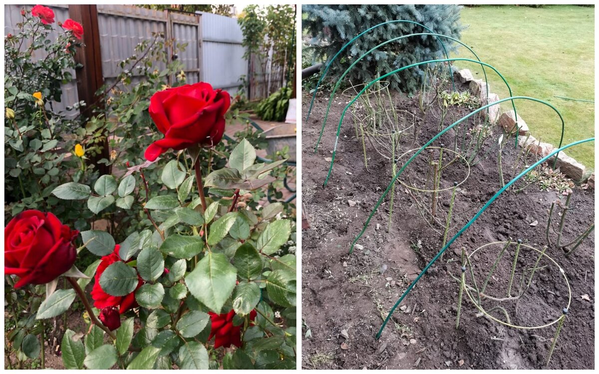 Ставьте "лайки" и подписывайтесь на мой канал!