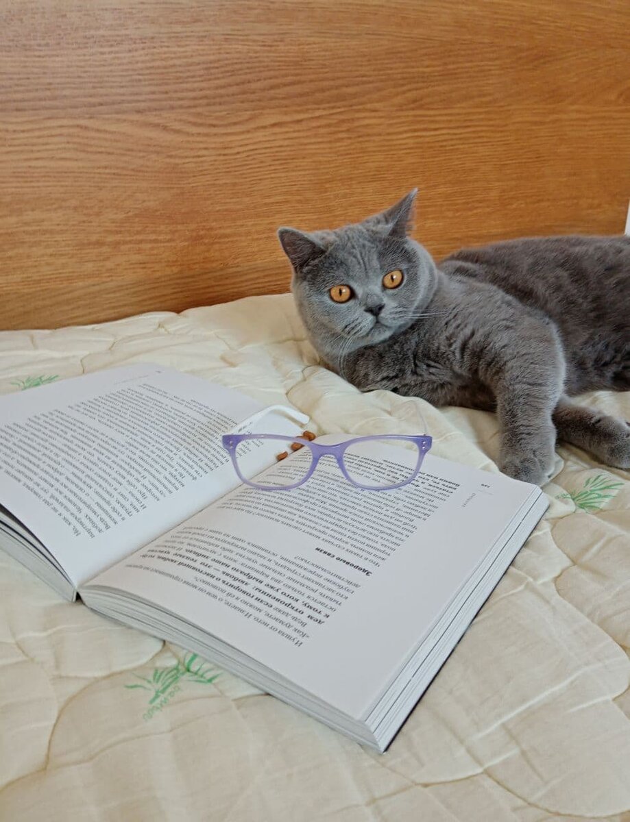 Шедевр №3 «Ни дня без книги»