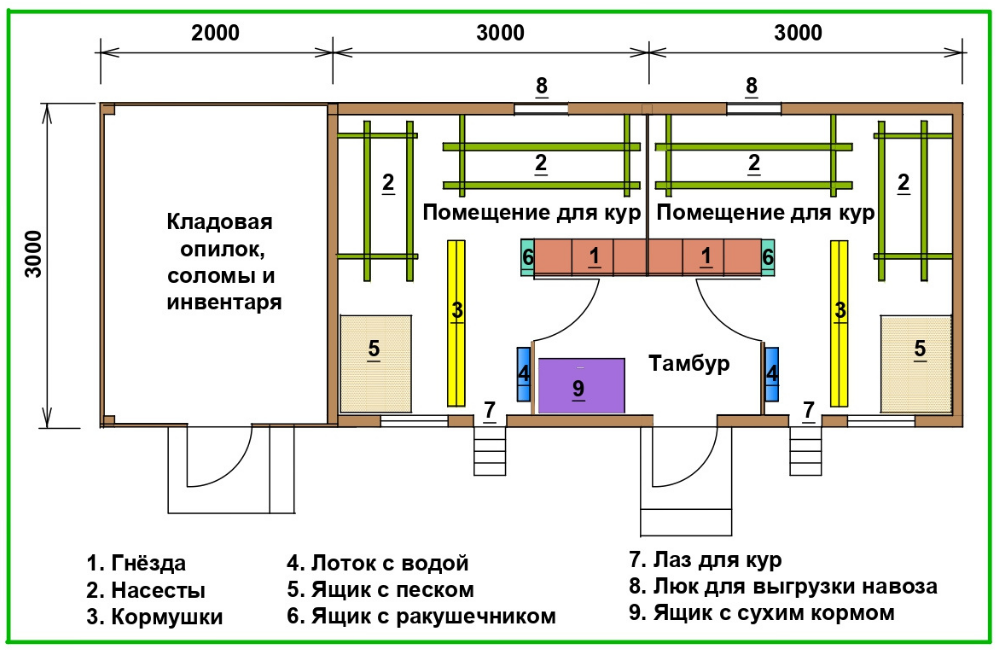 Чертеж курятника на 10 кур с размерами
