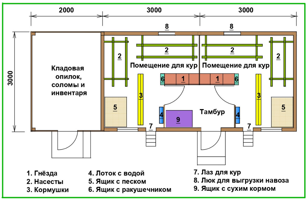 Чертежи курятника на 20 кур зимний вариант с размерами проект