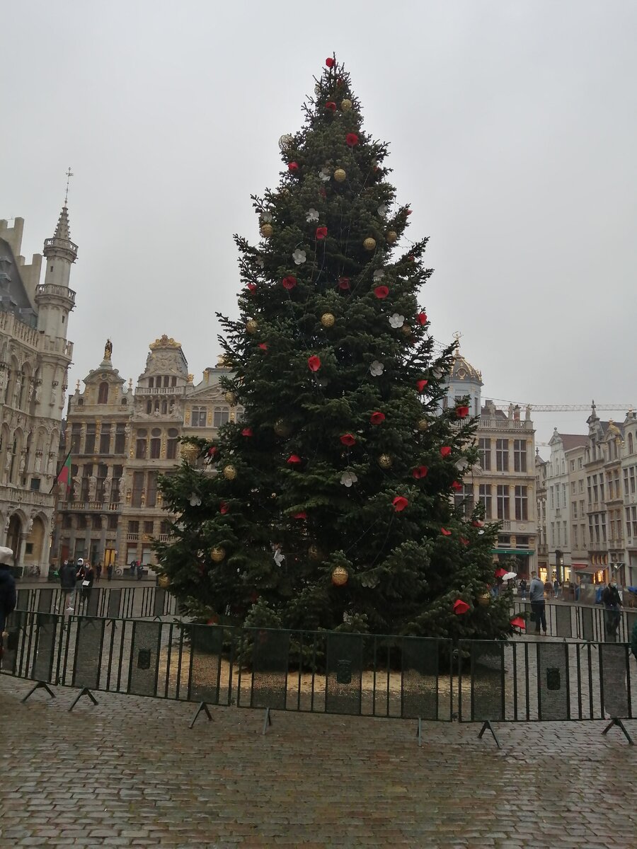 Моросит дождь. Мало людей. Не знают ещё о ёлке