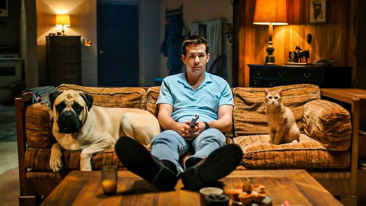 Фото из свободных источников