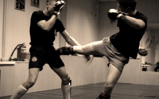 Лоу кик в ногу.