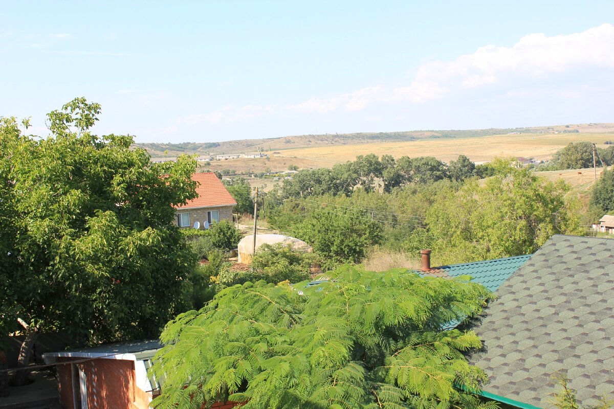 Грецкий орех на фото - слева. Это огромное дерево, больше 10 метров в высоту. Фото сделано у знакомых в Бахчисарайском районе