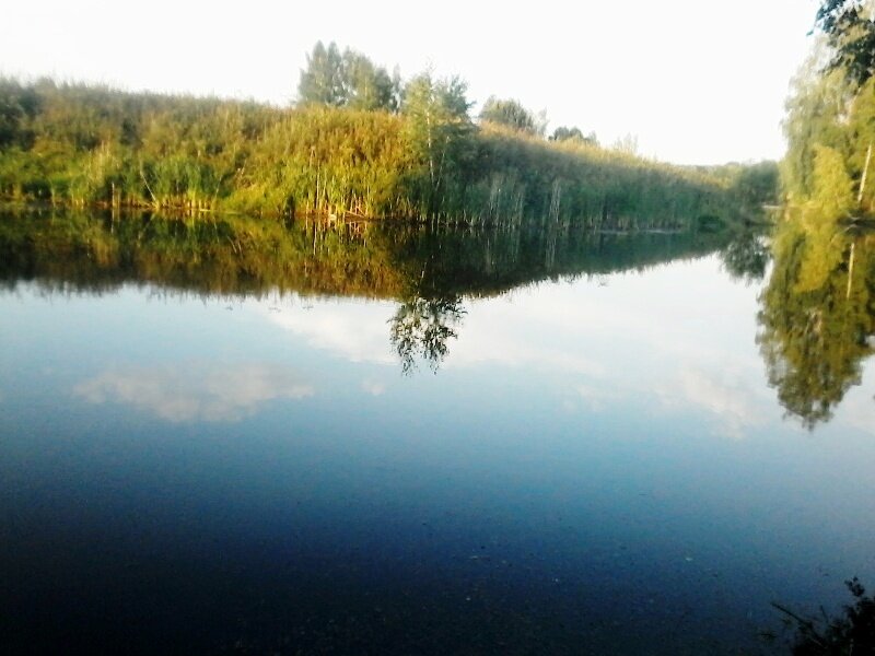 Наш не большой прудик!)