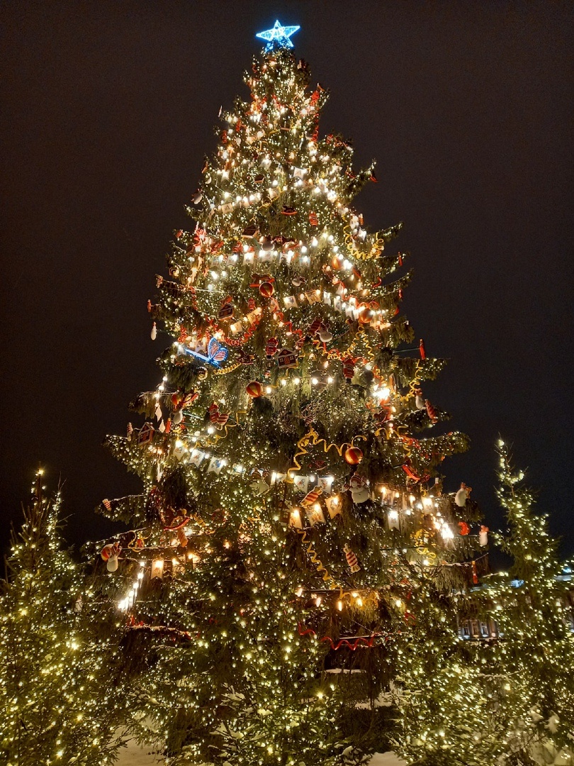 Сказочная ёлка на Дворцовой площади. Санкт-Петербург.