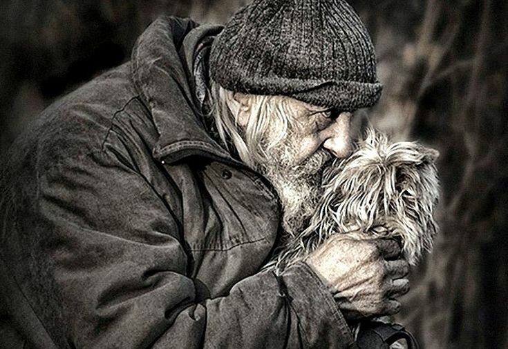 ОН ШЁЛ ПО УЛИЦЕ И ТИХО ПЛАКАЛ...Он шёл по улице и тихо плакал,облезлый, одноухий, и с больною лапой.Повисший хвост, несчастные глаза,а в них: жемчужинкой дрожит слеза.Его никто вокруг не замечал, а если и заметил, то ворчал,а мог ещё и палкой замахнуться, он убегал, когда мог увернуться.Он с грустью думал:''Я такой урод, ну кто такого жить к себевозьмёт''.Так шёл он, шёл по краешку дороги, и вдруг передсобой увидел ноги. Огромные такие две ноги обутыев большие сапоги. В смертельном страхе он закрыл глаза,а человек нагнулся и сказал:''Красавец- то какой! А ухо! Взгляд! Пойдёшь со мной?Я буду рад. Принцессу и дворец не обещаю, а молочком с сосиской угощаю.''Нагнулся, протянул к нему ладошку,- он первый раз держал владошках кошку. Взглянул на небо, думал, дождь закапал,а это кот в руках от счастья плакал…